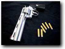 Click here to view the article on the Colt Python 6"