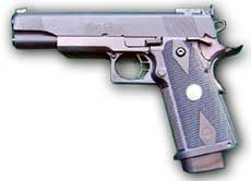 Read the review fot he new Wilson Combat GBB here