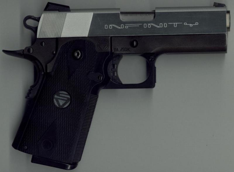WA Infinity 3.9 Concealed Carry 2