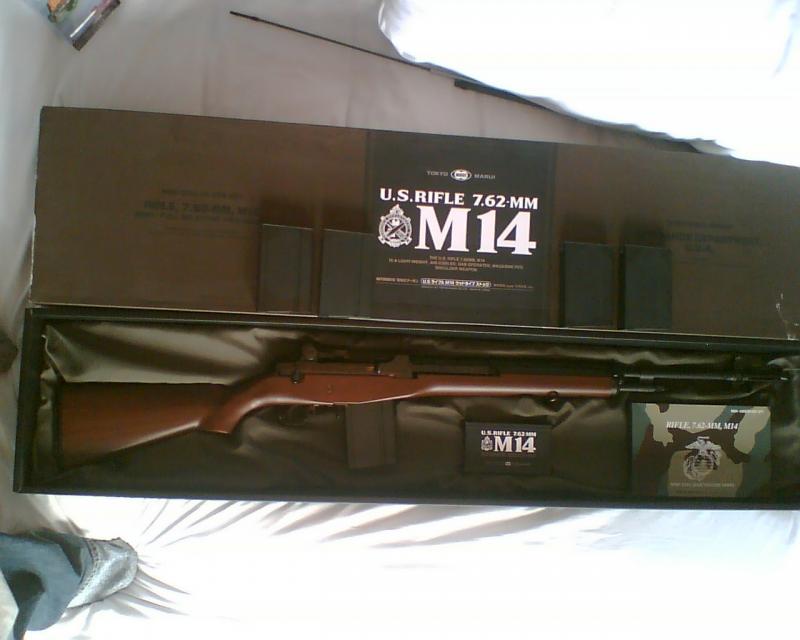 M14.jpg