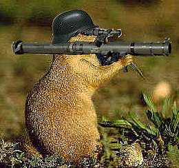 armed_rodent.jpg