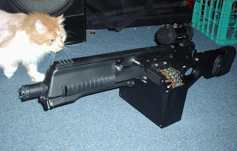 SL8 belt-feed & stupid cat.JPG