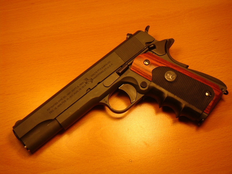 TM - Guarder 1911 Tune Up