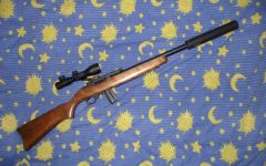 KJW Ruger 10/22 now with a wood stock!