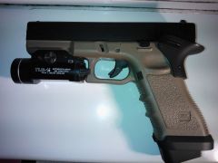 TM G17 Custom with TLR-1S