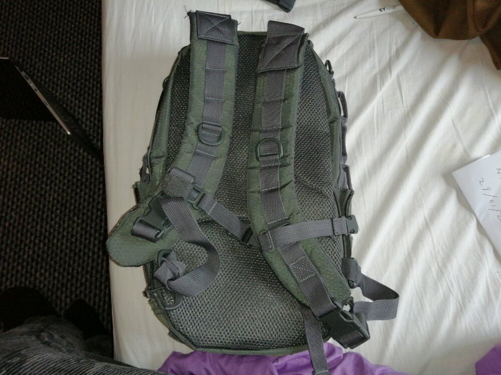Viper 16l Assault pack - £20 - back.jpg